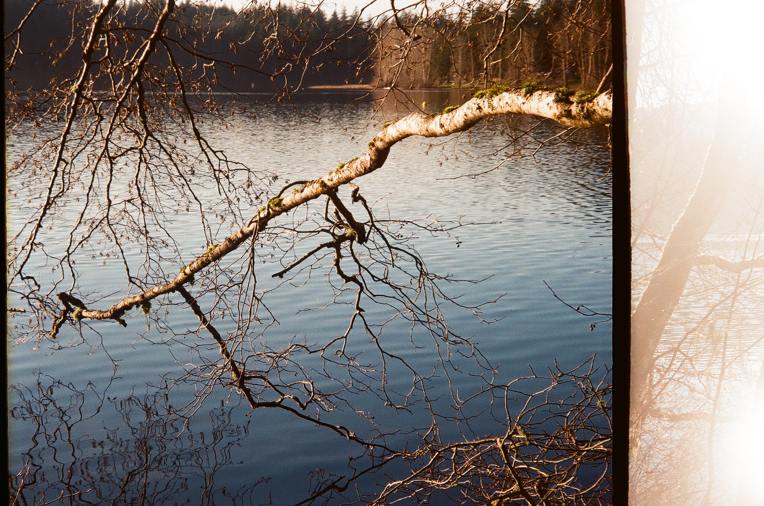 padden